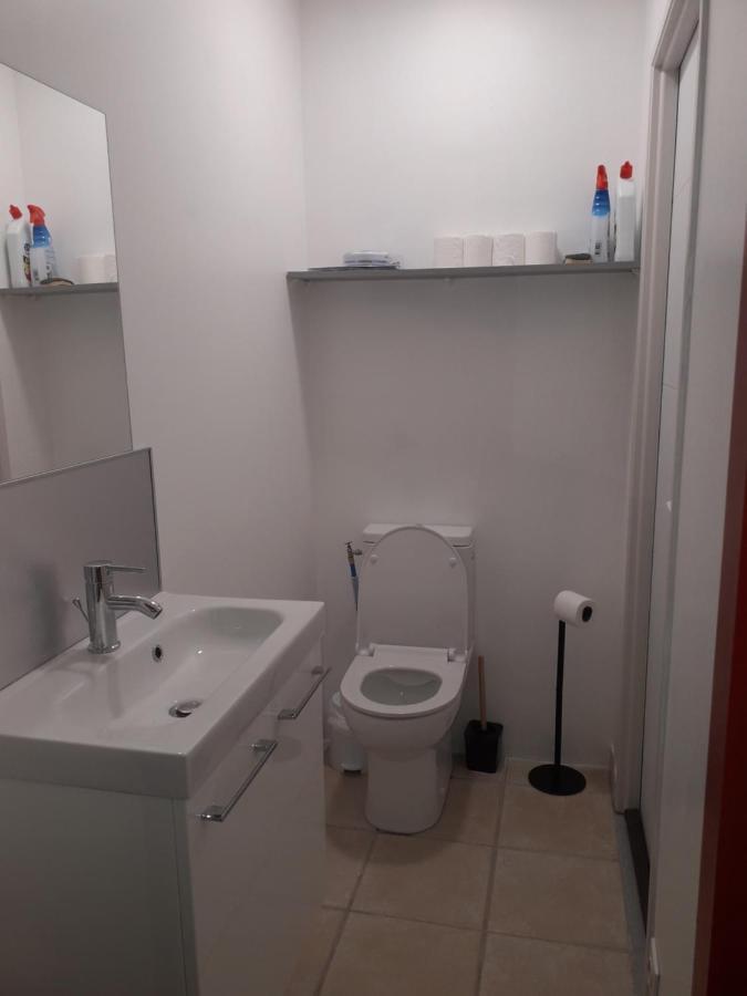 Dormir A Montauban Logements Carreyrat Calme Et Verdoyant מראה חיצוני תמונה